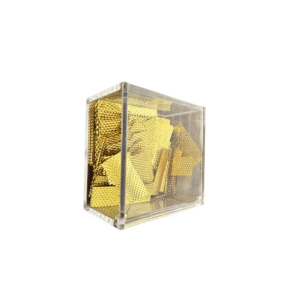 The Golden Buzzer Donation Box